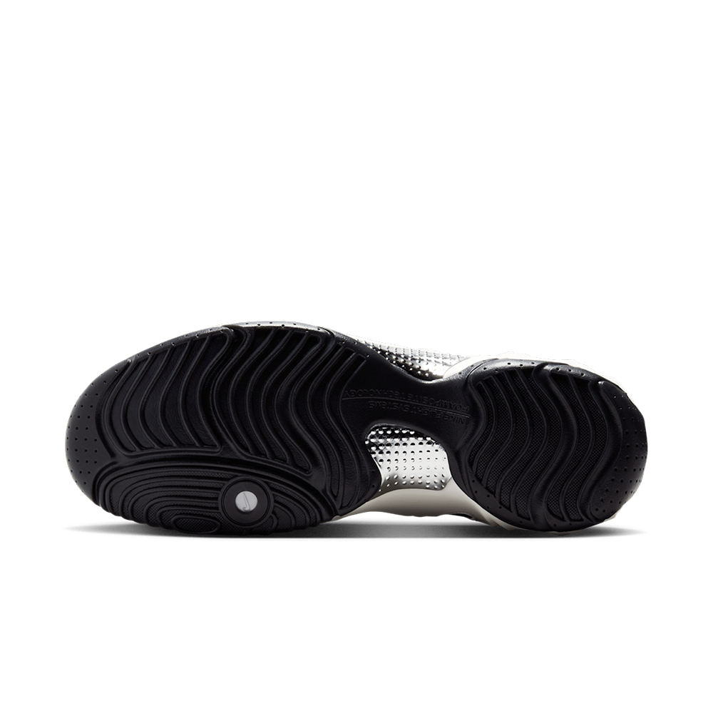 Nike Air Flightposite QS