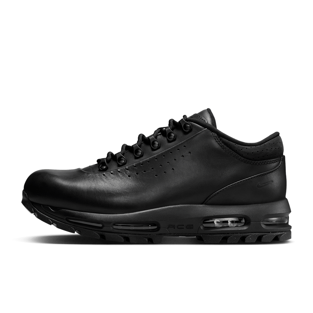 Nike Air Max Goadome Low SP