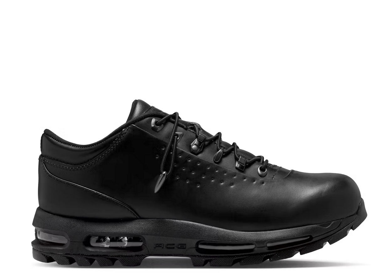 Nike Air Max Goadome Low SP